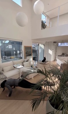 ヨガをする人と外を見る犬