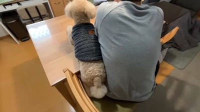 犬と男性の背中