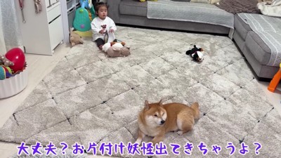 お片付けを諦めました