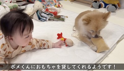 おもちゃはスルー