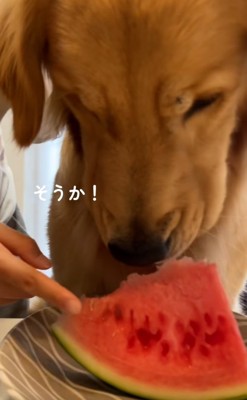 思い出した暖くん