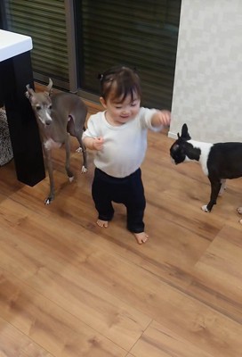 赤ちゃんとワンコたちの日常3