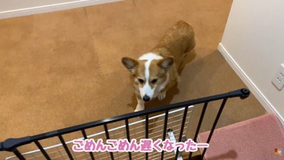 お母さんをお出迎え♪