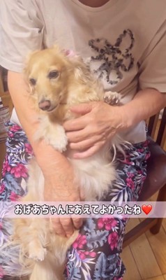 おばあちゃんの家に来たみるくちゃん9