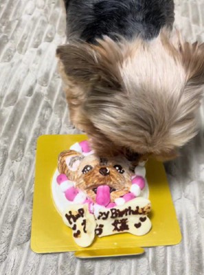 お誕生日おめでとう