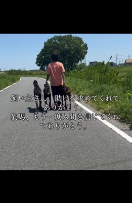 豹馬くんの変化⑩