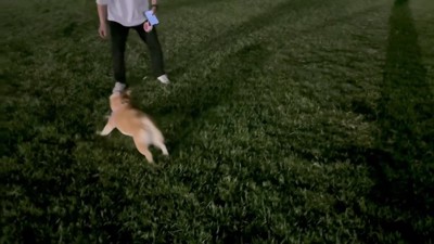 楽しくてたまらない…♪