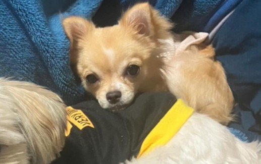 リラックスした表情