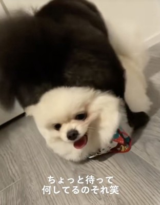 上に乗られてる