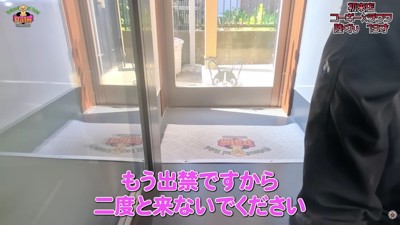 噛みついて出禁になった…