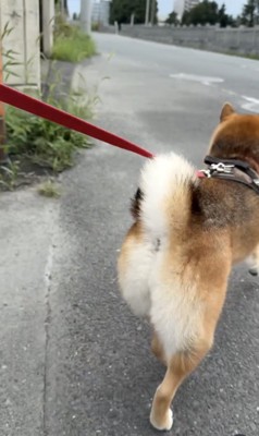 速すぎるスルー