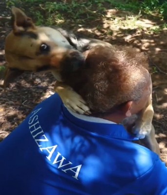 頭に顔を寄せる犬3