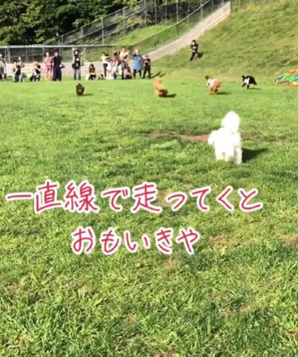 華麗なスタート！！