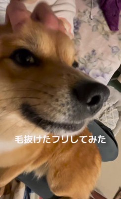 最後はナデナデで仲直り！？