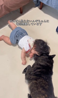 ツムギちゃんと娘さん8