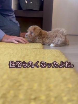 家族も思わずホッコリ…