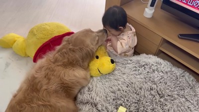 「たくさん遊べた?」