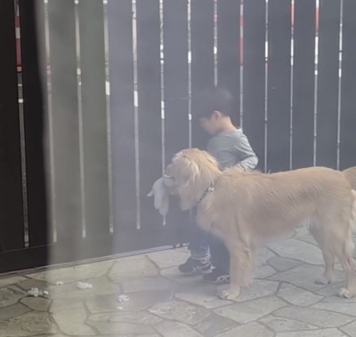 ぬいぐるみを持って男の子に寄り添う犬