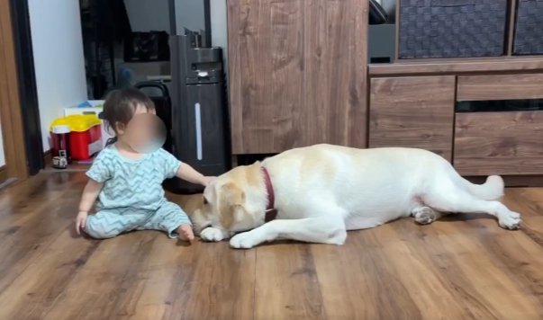 見守り
