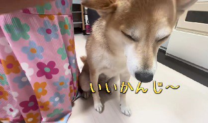 カットのまねごと♪