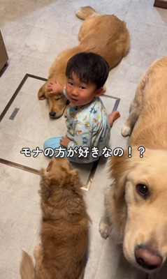 犬3匹を撫でる男の子7
