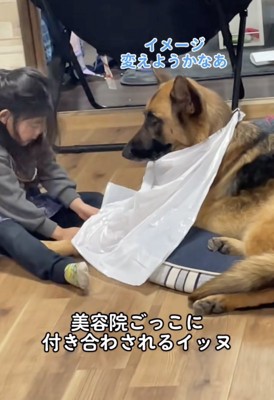 優しいファジーくんなのです