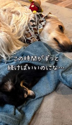 温かな関係に心温まる