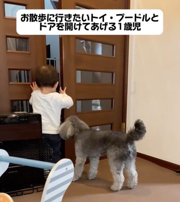 協力する犬と赤ちゃん