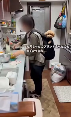 プリントを食べたバッキーくん