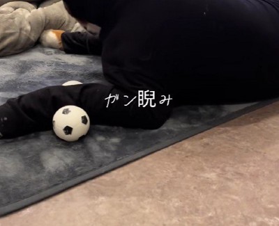 ピチピチ服を着せてみた