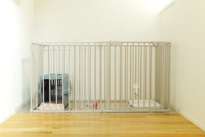 広いケージと中にクレート