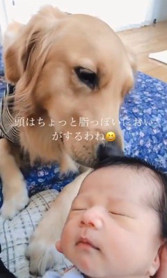 くららちゃんと赤ちゃん5