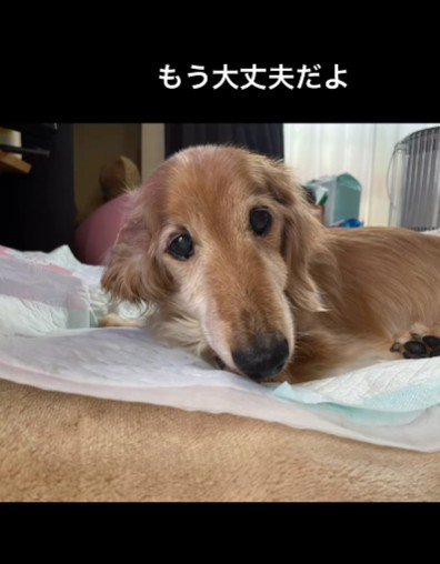 家族の愛のおかげだね♡