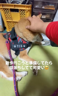 寝落ちする悟くん2