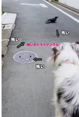手前に犬、左にネズミ、奥にカラス