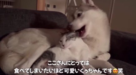 本当の姉妹みたい！！