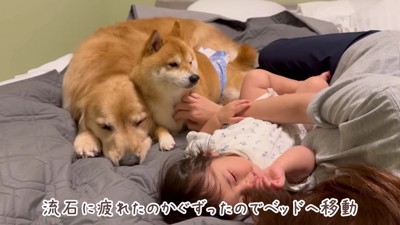 夢の中でも遊ぼうね!!
