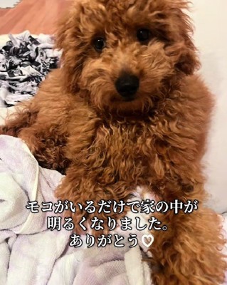 家の中が明るくなる存在♪