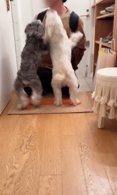 バンデくんとなぎちゃんの本当のおかえり8