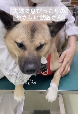 ママ「終わり!?」