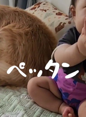 ぺったん、ぺったん