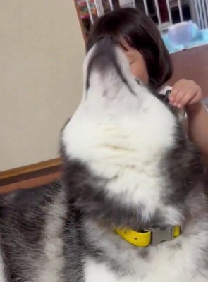 2歳の娘さんの遊び相手に♪