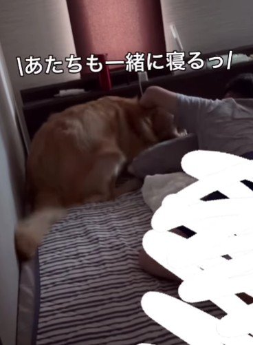 「一緒に寝よう」