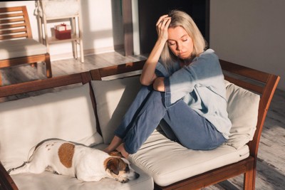 頭を抱える人の足元に犬