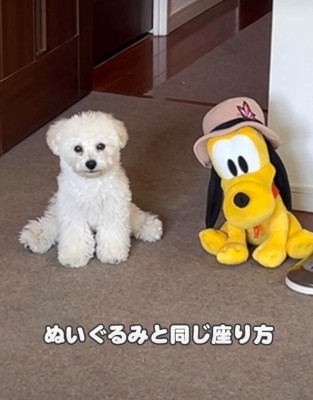 少し変わった座り方