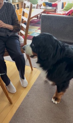 同居をはじめたリンちゃんとおばあちゃん8