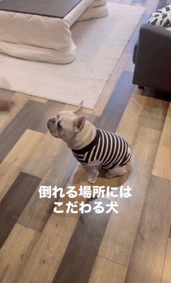 ママ「バァン！」