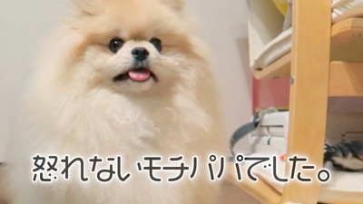 可愛くて憎めません♡