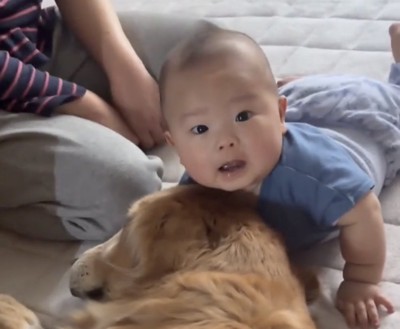 犬の上で驚く赤ちゃん