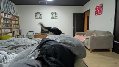 どこかに行ってしまいました！